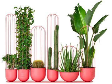 CACTI - High round plant pot by Nola Industrier - view 2